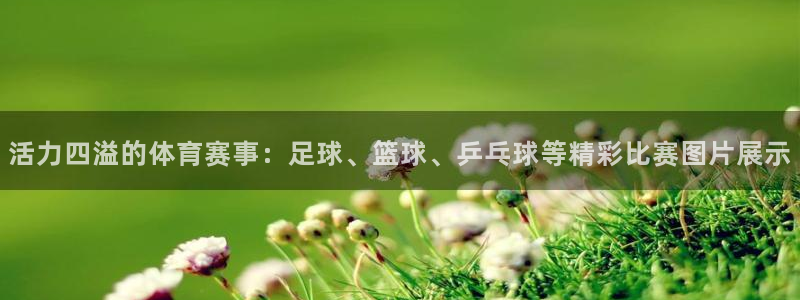 熊猫体育手机版下载：活力四溢的体育赛事：足球、篮球、乒乓球等精彩比赛图片展示