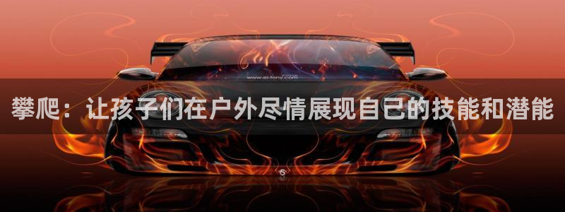 熊猫体育手机版：攀爬：让孩子们在户外尽情展现自己的技能和潜能