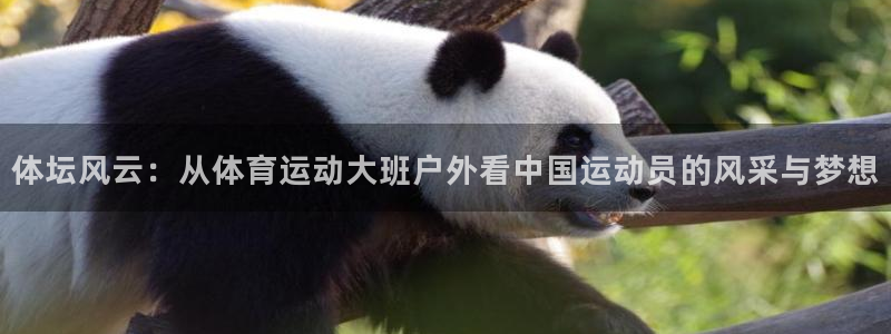 熊猫体育在线：体坛风云：从体育运动大班户外看中国运动员的风采与梦想