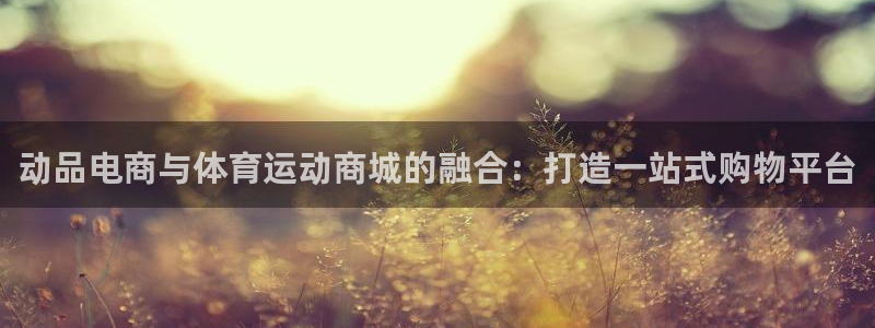 熊猫体育：动品电商与体育运动商城的融合：打造一站式购物平台