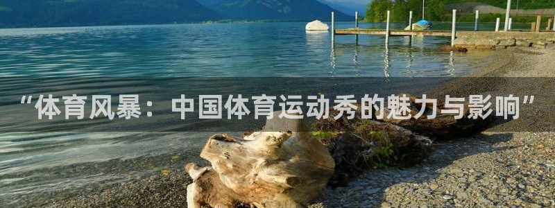 熊猫体育怎么样：“体育风暴：中国体育运动秀的魅力与影响”