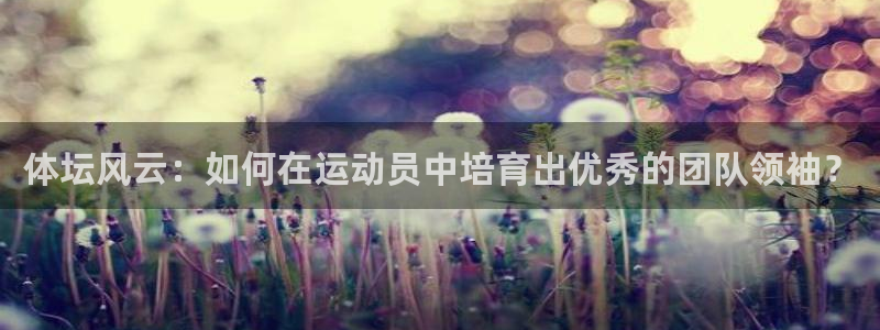 熊猫体育直播nba：体坛风云：如何在运动员中培育出优秀的团队领袖？