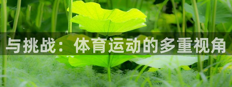 成都熊猫体育公园：与挑战：体育运动的多重视角