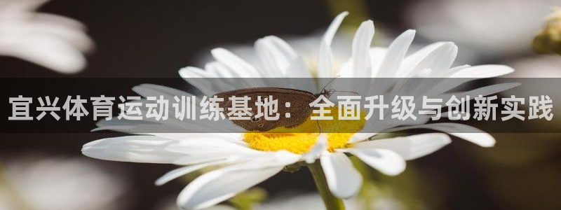 熊猫体育nba：宜兴体育运动训练基地：全面升级与创新实践