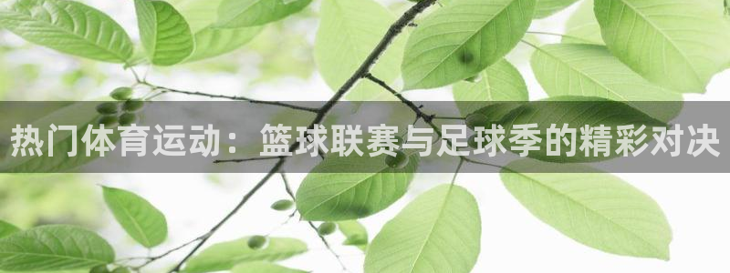 熊猫体育：热门体育运动：篮球联赛与足球季的精彩对决