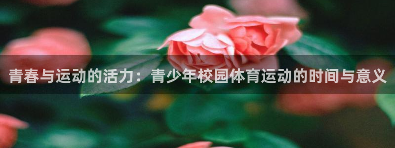 熊猫体育公园：青春与运动的活力：青少年校园体育运动的时间与意义