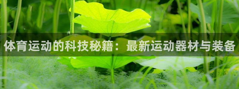 熊猫体育app官方下载最新版：体育运动的科技秘籍：最新运动器材与装备