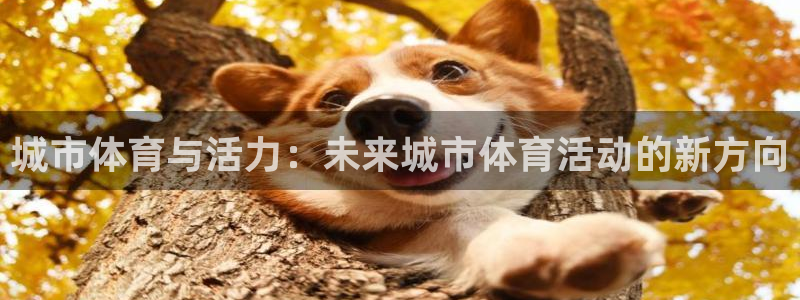 熊猫体育在线：城市体育与活力：未来城市体育活动的新方向