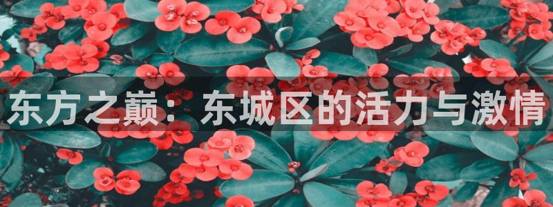 熊猫体育app官网入口：东方之巅：东城区的活力与激情
