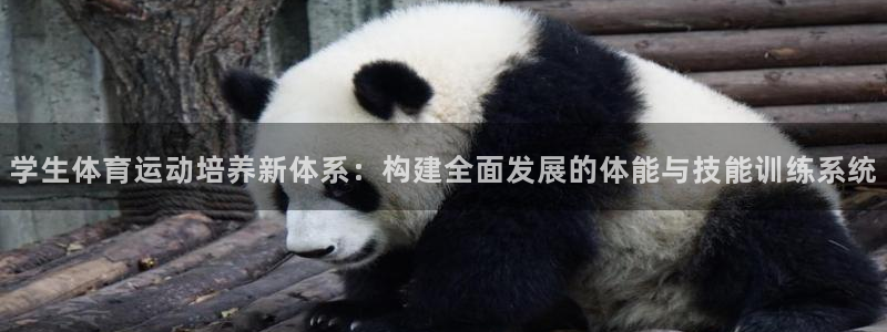 熊猫体育网址：学生体育运动培养新体系：构建全面发展的体能与技能训练系统