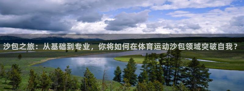 熊猫体育在线：沙包之旅：从基础到专业，你将如何在体育运动沙包领域突破自我？