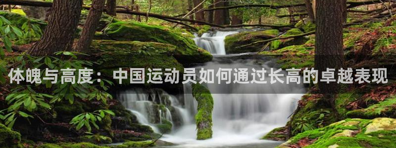 动感熊猫体育公园：体魄与高度：中国运动员如何通过长高的卓越表现